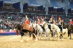Cavalry - 00301